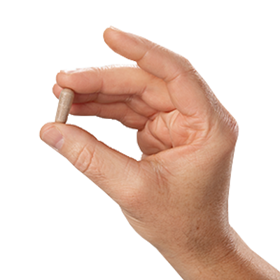 A single green leaf in a clear glass of water on white background.