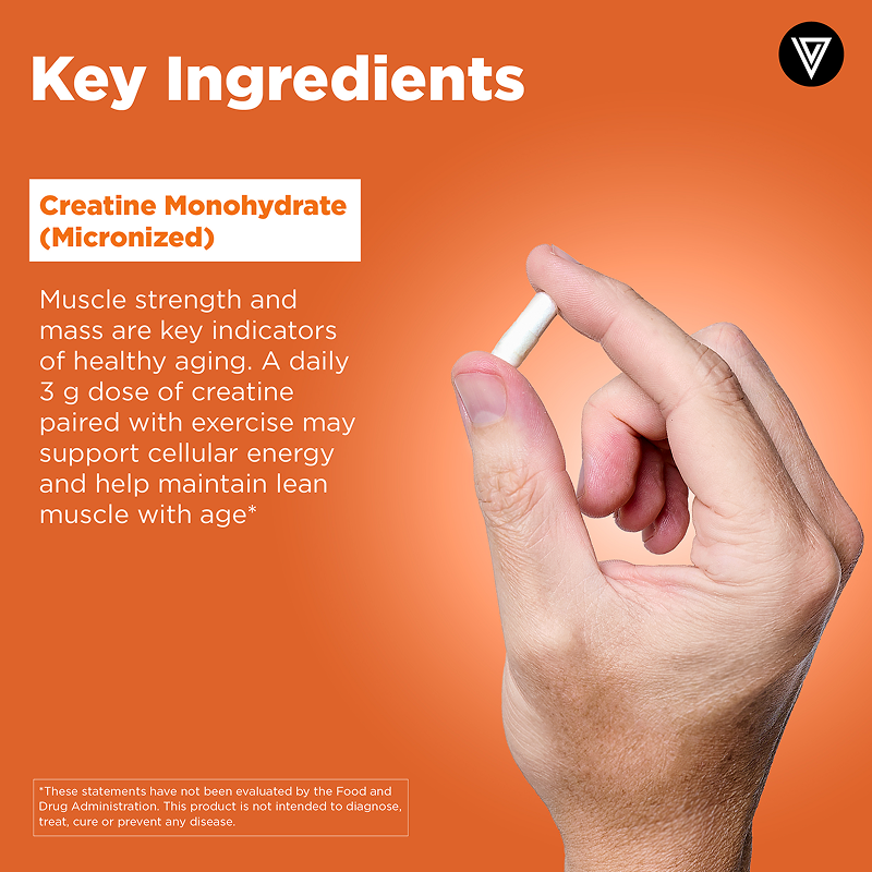 Green palm leaf beside two blank white cards on a white background.