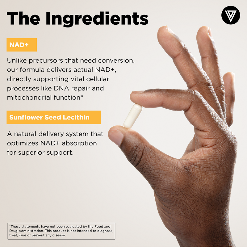 Green palm leaf beside two blank white cards on a white background.