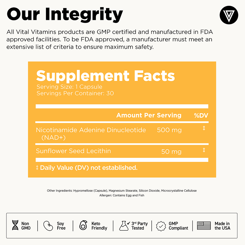 Green palm leaf beside two blank white cards on a white background.