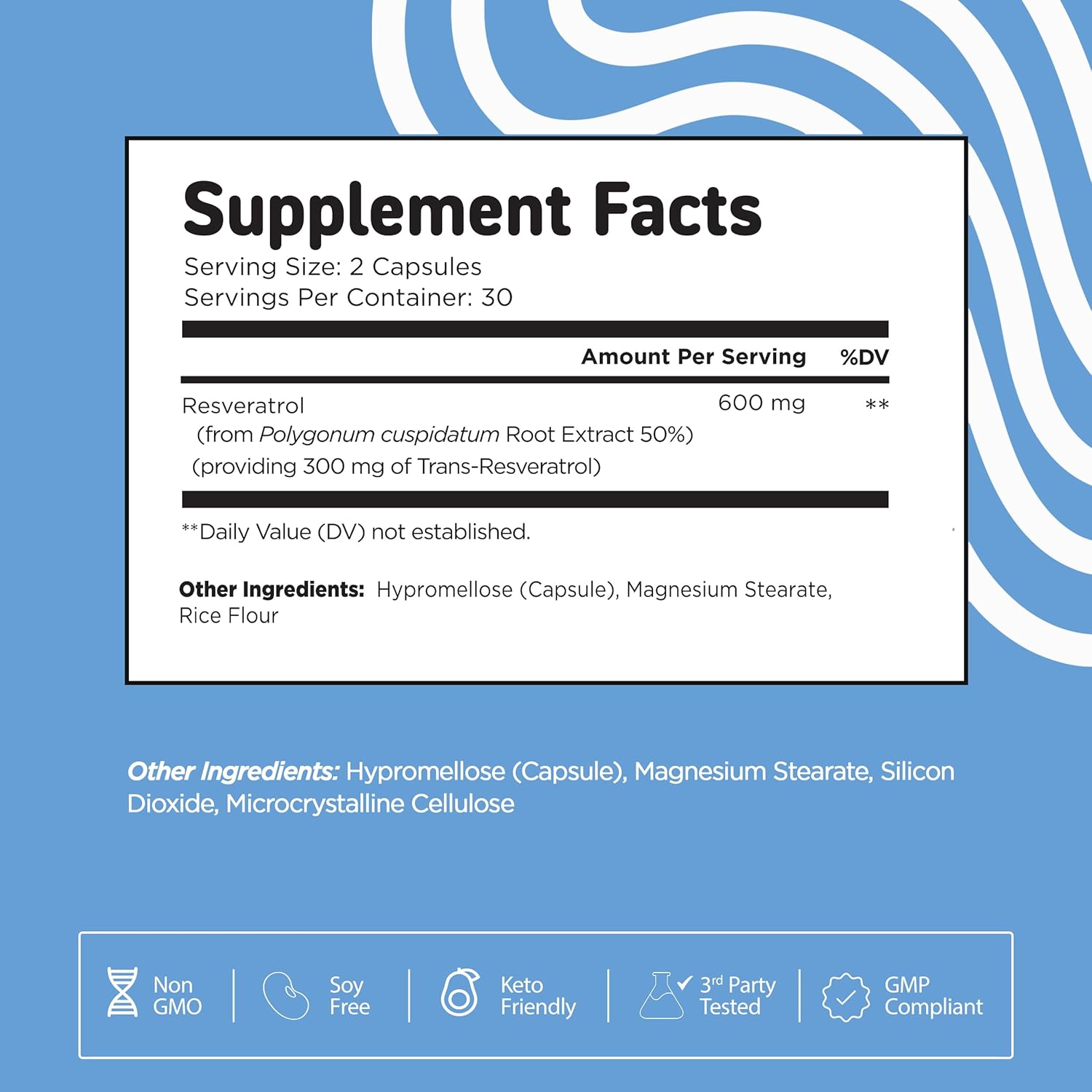 A single Monstera leaf in a clear glass vase against a white background.