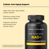 Vital Vitamins NAD+ in the Age Defying Bundle - cellular anti-aging support with 500 mg NAD+ per serving