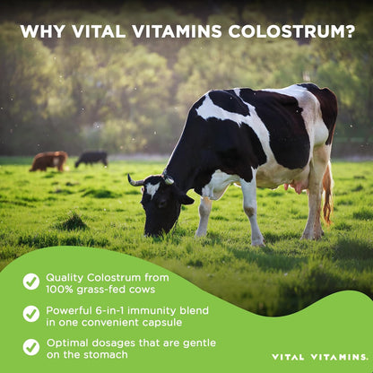 Colostrum