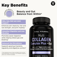 Multi-Collagen Complex Plus + Gut