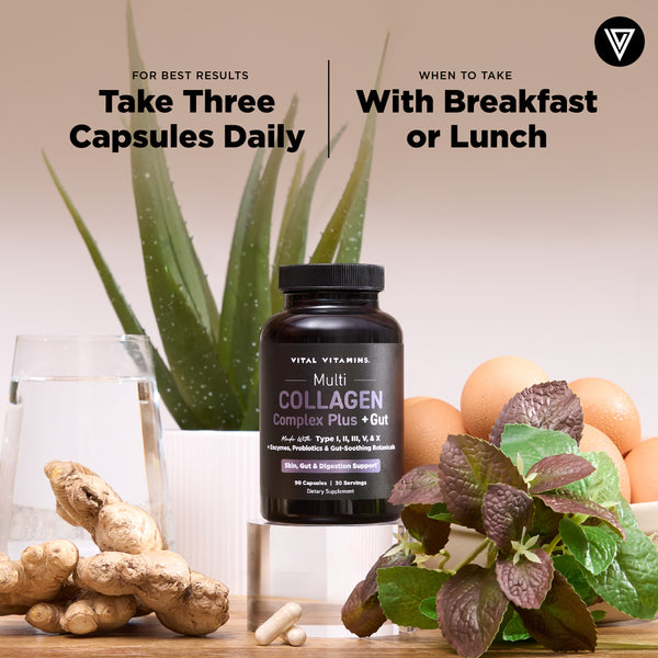 Multi-Collagen Complex Plus + Gut