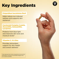 Hand holding a tan Sun Support capsule on warm background - polypodium leucotomos, vitamin C, vitamin E and zinc ingredients