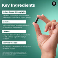 Hand holding a dark Chlorophyll Complex capsule on green background - spirulina, chlorella, chlorophyllin and activated charcoal ingredients