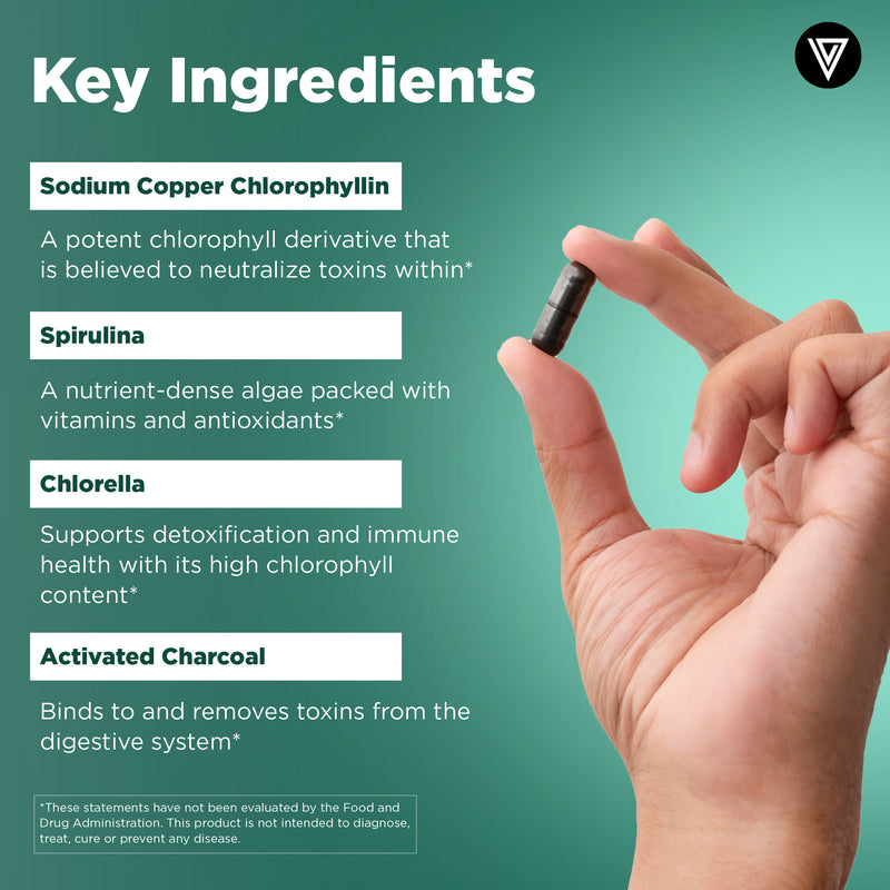 Hand holding a dark Chlorophyll Complex capsule on green background - spirulina, chlorella, chlorophyllin and activated charcoal ingredients