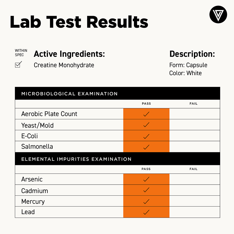 Green palm leaf beside two blank white cards on a white background.
